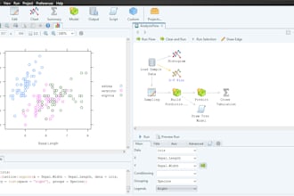 analyze data, spss, r, excel,stata,tutor calculus, graphics