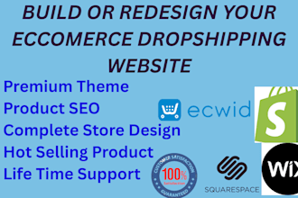 build redesign temil squarespace wix godaddy ecwid shopify dropshipping website
