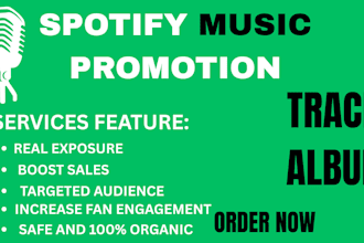 do spotify album promotion, spotify music track promotion