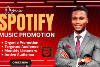 promote spotify song track to targeted audience orgnaic spotify music promotion