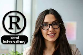 answer your US immigration law questions and write an immigration business plan
