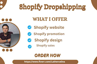 build passive income dropshipping store for shopify website