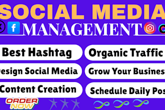 be social media marketing plan manager ads promotion manager content creator