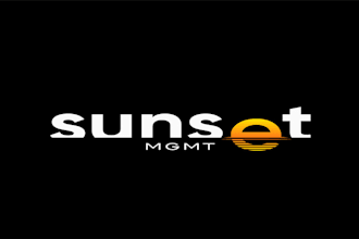 do wordmark logo for you