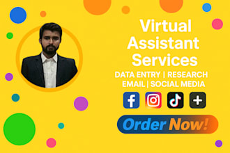 be your reliable virtual assistant for data entry, research, and admin tasks