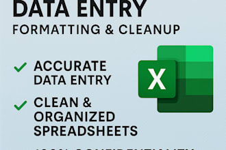 do fast excel data entry, formatting, and cleanup