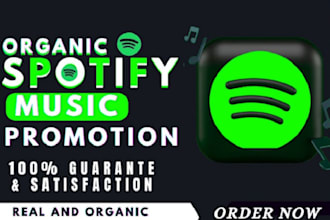 run ads for your spotify and organic spotify music promotion