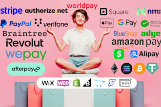 stripe shopify payment paypal wise grey payment gateway payment api integration
