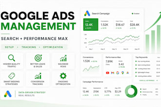 set up and manage google ads search and pmax campaigns