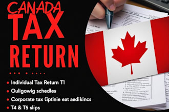 file canadian taxes personal and minimize your US tax filings 1040  1120 returns