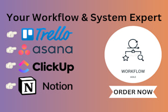 setup and automate your asana, trello, notion and clickup