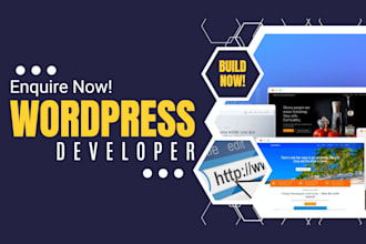 be your filipino wordpress developer