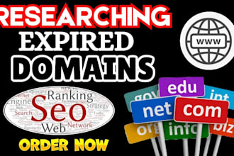 find SEO friendly domains and research relevant expired domains for your niche