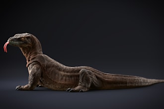 create any cg model