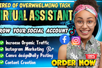 be personal executive virtual assistant manage social media instagram engagement