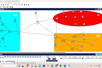 develop cisco network setups and full stack web projects