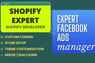 create a shopify store, and can be your meta facebook ads campaign manager