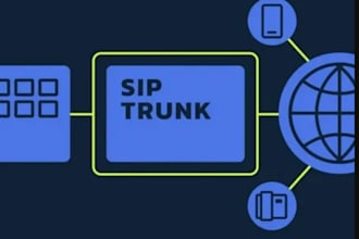 arrange sip user,sip routes and sip trunks for USA spoof api, pbx did number