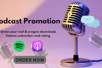 set up an ad for your spotify music and podcast promotion