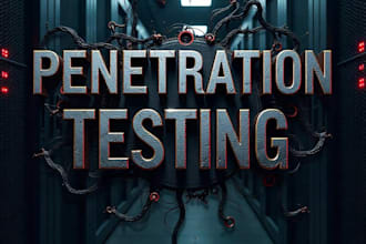 perform professional penetration testing on your website or system