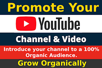 youtube channel promotion via google ads for organic views, sub and monetization