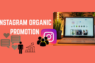 instagram promotion, instagram management, profile branding, instagram growth