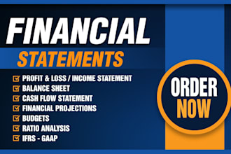 make profit and loss, balance sheet, financial statements, income statement