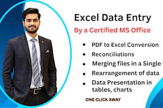 do excel data entry, reconciliation, PDF to excel data entry