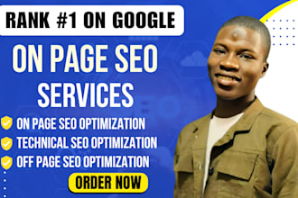 do on page technical seo service for wordpress wix shopify squarespace website