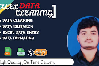 do excel data cleaning, excel spreadsheet, excel big data, research work