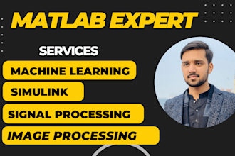 do urgent matlab, simulink, matlab programming image and signal processing