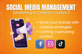 be your social media manager marketing and content creator