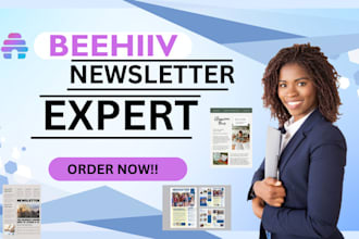design and set up your professional beehiive newsletter