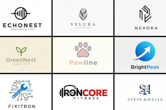 make a clean professional logo to your business