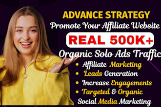 drive 500k x affiliate website clicks targeted solo ads campaign link promotion