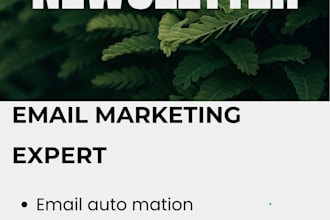 do mailerlite landing page form, newsletter, email template design automation