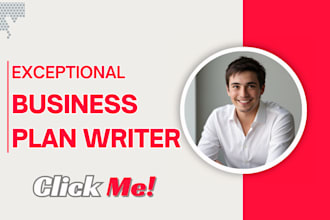 write business plan with financial and marketing plan for startup and investors