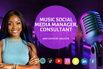 manage and grow your music brand on social media, create contents, consultant