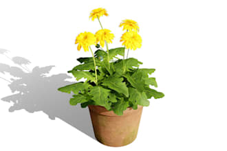 create miniature flowers, 3d printable rose, 3d plant, potted flowers for decor