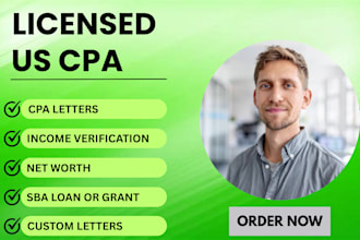 provide a CPA letter for irs, sba, visa, mortgage, or income verification