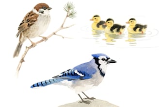 do watercolor painting of animals, botanicals, objects