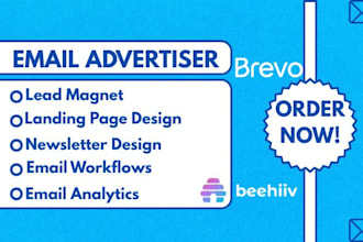 create lead magnet newsletter workflow landing page on brevo, beehiiv, sendpulse