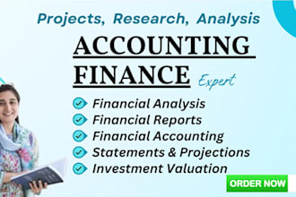 do financial analysis report, accounting, finance, and excel projects