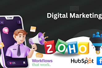 implement customize zoho, hubspot, salesforce, pipedrive CRM and facebook ads