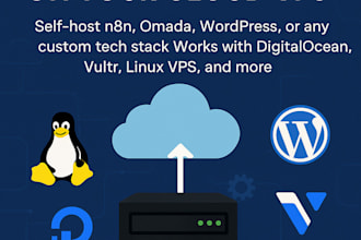 assist you in hosting your applications to vps