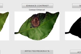 image processing for crop disease detection