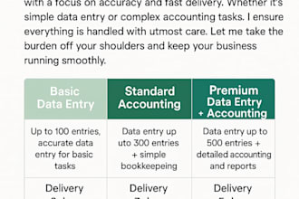 professional data entry and accounting services