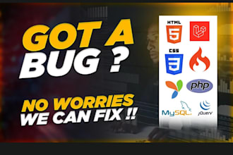 fix laravel errors, PHP errors, mysql errors, and codeigniter bugs