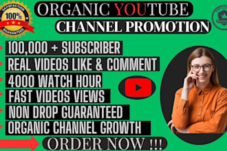 fast usa youtube channel promotion video marketing complete channel monetization