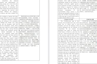 provide professional chinese english translation